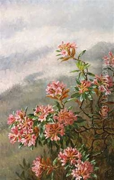 Blomstrende Kejserbusk, Alperne Oil Painting - Anthonie Eleonore (Anthonore) Christensen