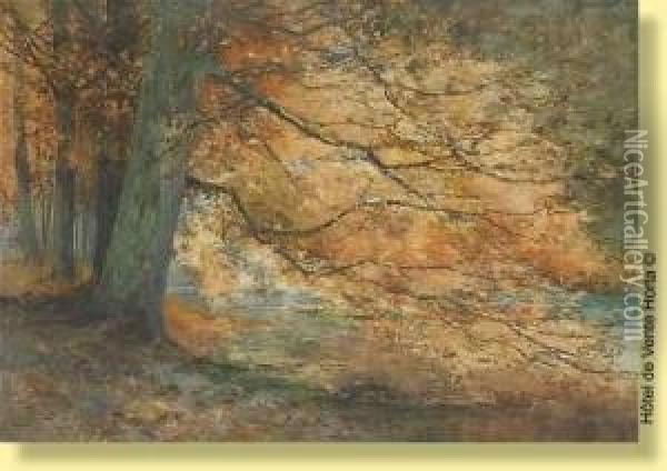 Reflexions D'arbres Oil Painting - Victor Uytterschaut