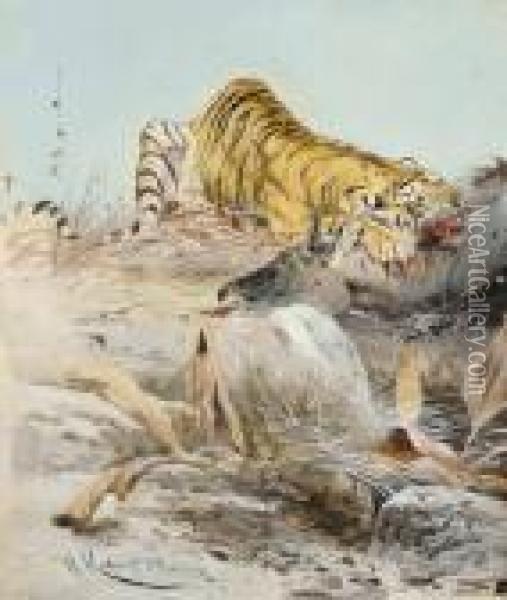 A Tiger And It's Prey Oil Painting - Wilhelm Kuhnert
