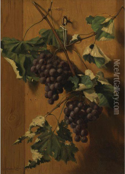 Grapes Hanging On A Wall Oil Painting - A. Platte Little