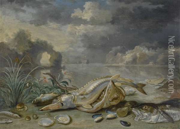 A Sturgeon And Thornback Ray With A Cod, Oysters, Mussels And Other Fish On A Seashore, A Ship In The Distance Oil Painting - Jan van Kessel the Elder