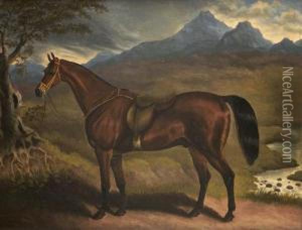 'samron' Owned By T.e Freeman Oil Painting - Samuel Spode