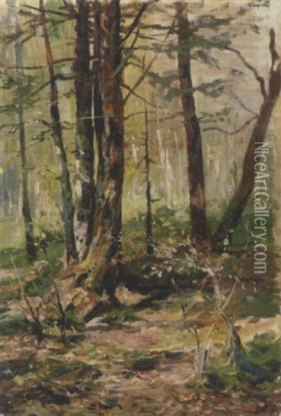 Im Sommerlichen Wald Oil Painting - Julius von Blaas