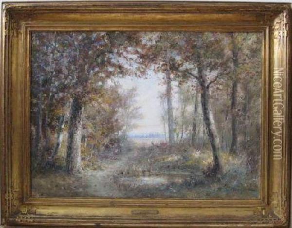 Autumn Sunshine Through Forest Oil Painting - William Savery Bucklin