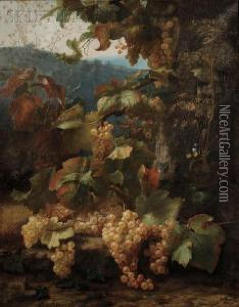 Landscape With Grapes On The Vine Oil Painting - Alexis Kreyder