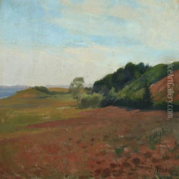 Landscape, Presumably Near Flensburg Fiord Oil Painting - Jacob Nobbe