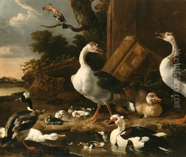 Chinese And Egyptian Geese, 
Muscovy Ducks, A Hoopoe, Barnyard Fowland Other Exotic Birds In A 
Landscape With Classical Ruins Oil Painting - Melchior de Hondecoeter
