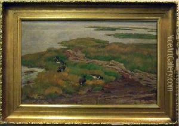 Strandskator Vid Strandkanten. Oil Painting - William Gislander
