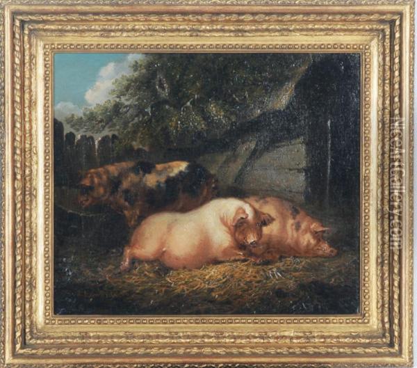 Pigs Resting In A Barn Oil Painting - Sydenham Teast Edwards