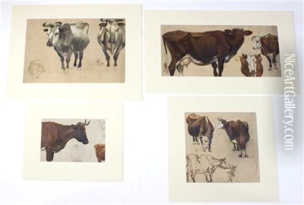 Cattle (4 Studies) Oil Painting - Henry William Banks Davis