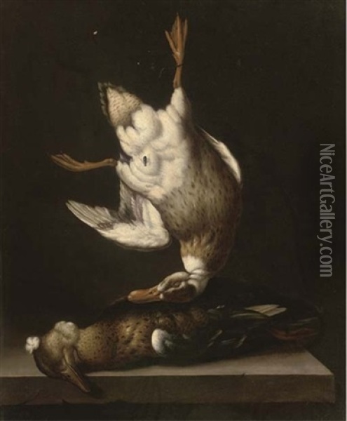 A Dead Duck Suspended From A Nail With A Fly Above A Duck On A Stone Ledge Oil Painting - Jacobus van der Hagen