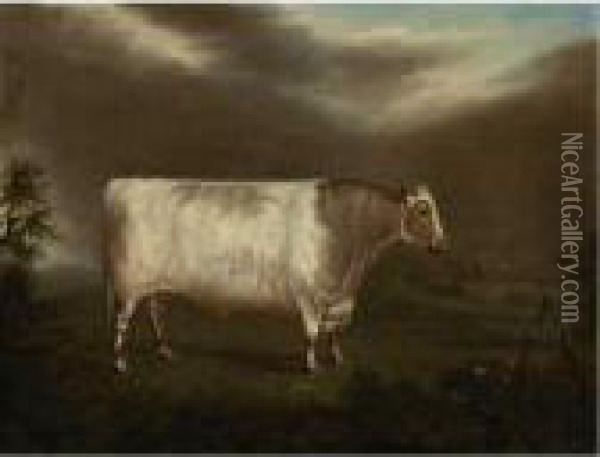 The Shorthorn Bull, Comet Oil Painting - Thomas Weaver