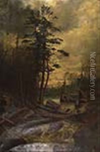 Forest Stream Oil Painting - Thomas Mower Martin