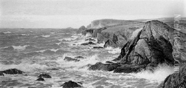 The Rugged Coast Oil Painting - David James