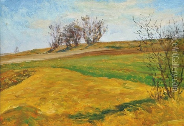 Boundaries Between Fields Oil Painting - Frantisek Kavan
