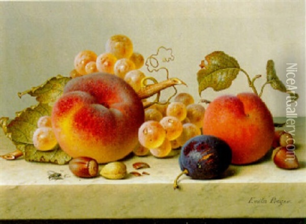 Stilleven Met Vruchten Op Een Plint Oil Painting - Emilie Preyer