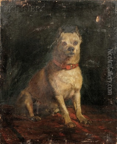 Portrait Of A Terrier Oil Painting - John Bernard Johnston