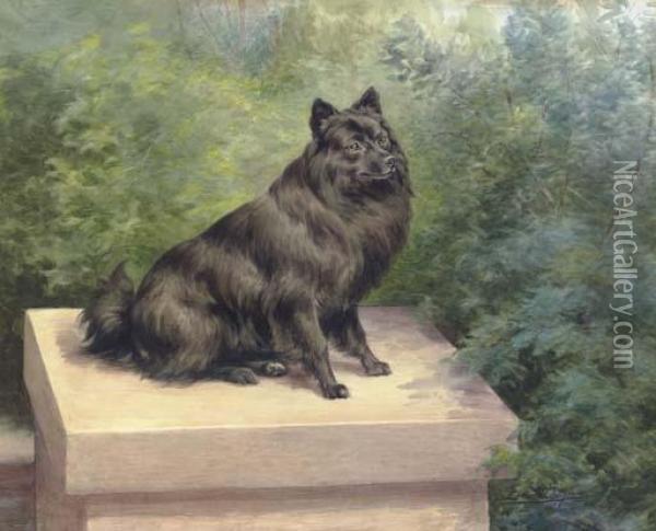 A Pommeranian Seated On A Pedestal In A Garden Oil Painting - Edmund Henry Osthaus
