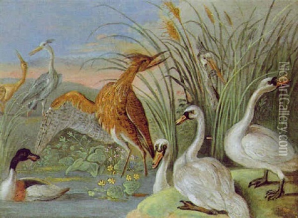 Wasservogel Am Schilfufer Eines Teiches Oil Painting - Jan van Kessel the Elder
