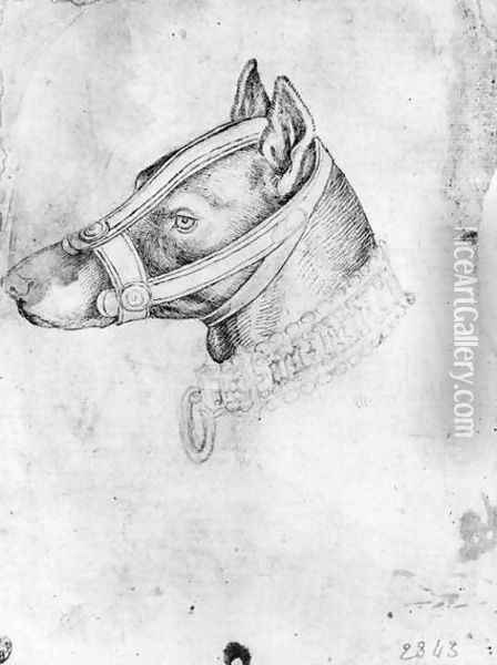 Head of a muzzled dog, from the The Vallardi Album Oil Painting - Antonio Pisano (Pisanello)