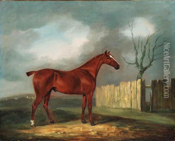 A Chestnut Hunter By A Fence In An Extensive Landscape Oil Painting - Edwin, Beccles Of Cooper