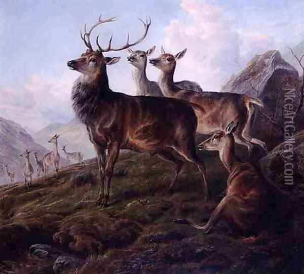 Red Deer in a Highland Landscape Oil Painting - Charles Jones
