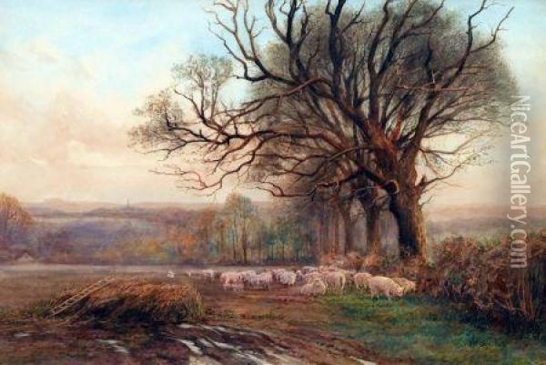 Sheep Grazing In A Country Landscape Oil Painting - Charles James Adams