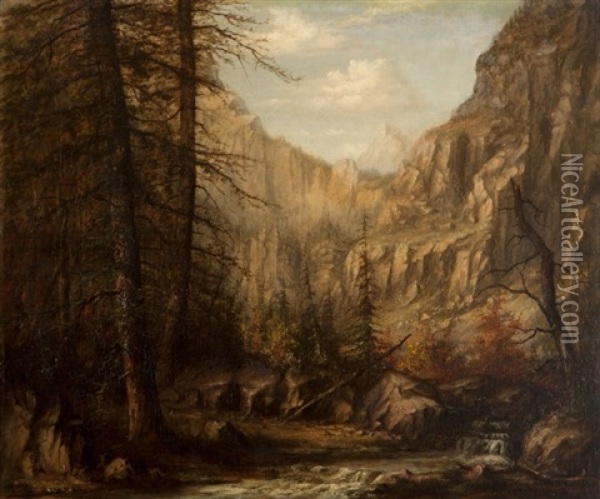 Stream Through A Mountain Gorge Oil Painting - Carl Christian Brenner