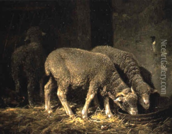 Moutons A La Bergerie Oil Painting - Charles Emile Jacque