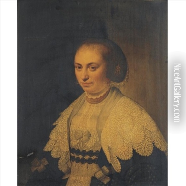 Portrait Of A Lady Oil Painting - Willem Willemsz van der Vliet