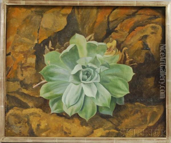 Succulent Oil Painting - Edward Bruce