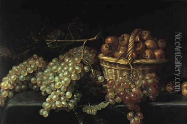 Stilleben Von Weintrauben Und Mispeln Oil Painting - Jacob Fopsen van Es