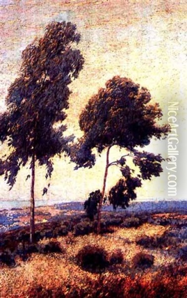 Eucalyptus Trees Overlooking Los Angeles Oil Painting - Maurice Braun