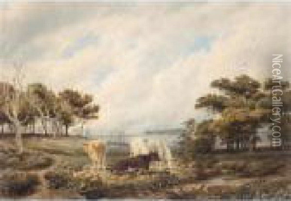 Cattle Grazing Near Beaulieu In The New Forest, Hampshire Oil Painting - William Turner