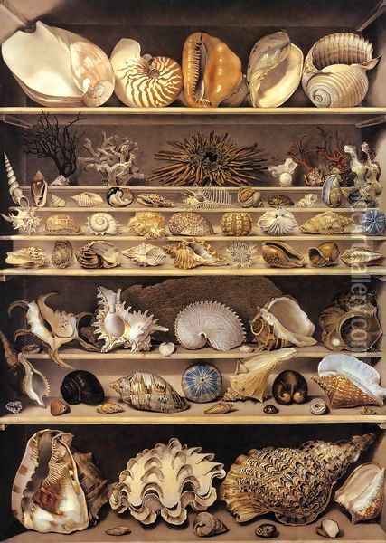 Selection of Shells Arranged on Shelves Oil Painting - Alexandre-Isidore Leroy De Barde
