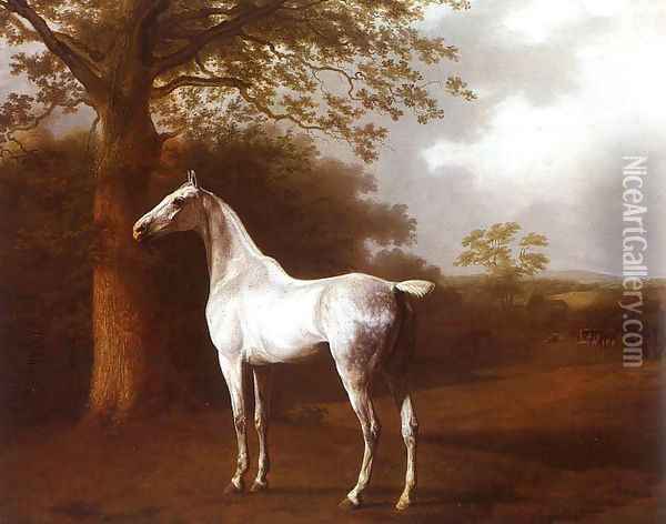White Horse in Pasture Oil Painting - Jacques Laurent Agasse