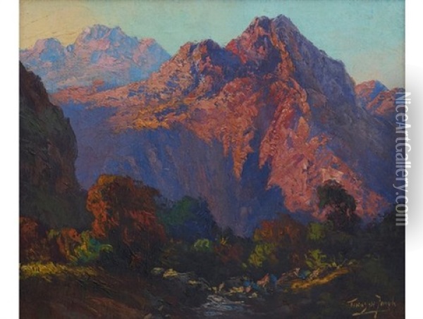 Stream Through A Mountain Pass Oil Painting - Tinus de Jongh