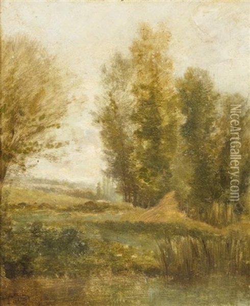 Pond With Poplars Oil Painting - Charles Francois Daubigny