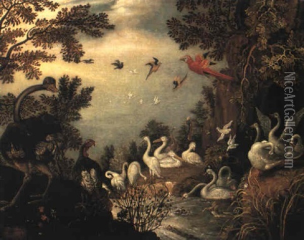 Ostrich, Turkey, Swans, Herrons And Parrots By A River Oil Painting - Roelandt Savery