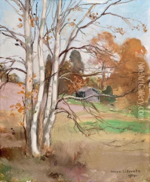 Autumn Birches Oil Painting - Wilho Sjostrom