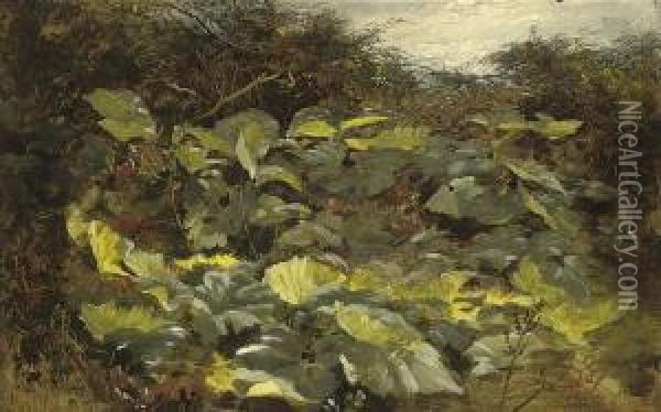 Amongst The Foliage Oil Painting - Robert Tonge