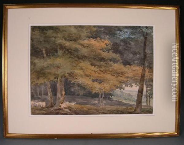 Sheep Grazing In Parkland Oil Painting - William Sawrey Gilpin