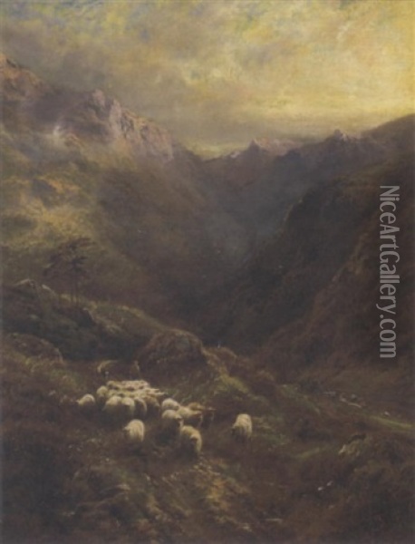 Sheep On A Mountain Path Oil Painting - Robert F. Watson