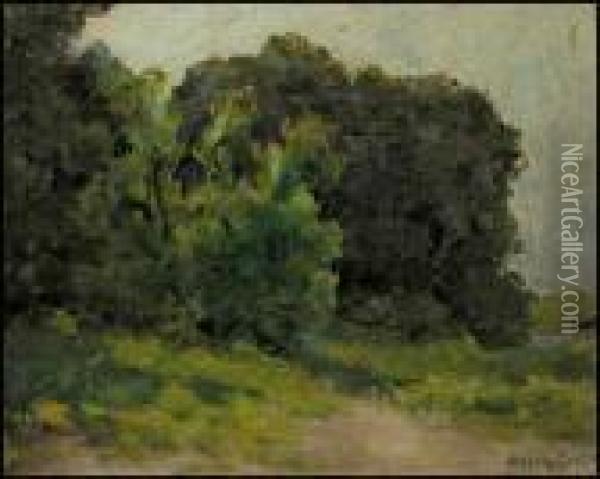 A Stand Of Trees At The Water's Edge Oil Painting - Marc-Aurele Foy De Suzor-Cote