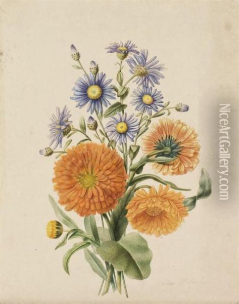 Bouquet D'asters Bleus Et De Soucis Orange (recto); Une Asteraceepourpre (verso) Oil Painting - Pancrace Bessa