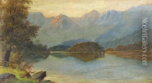 Mountainous Lake View With Tree To Bank Oil Painting - Louis Frank