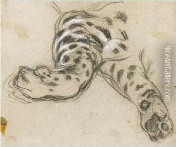 Study Of A Leopard's Paws Oil Painting - Leon Louis Riesener