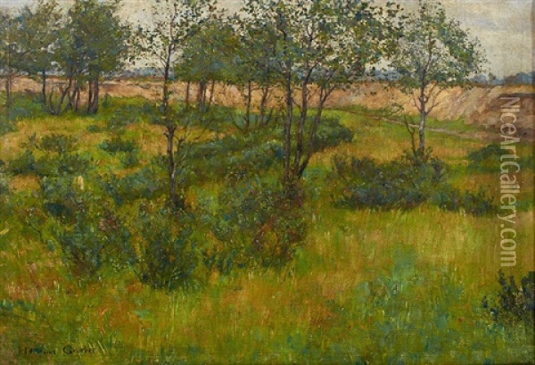 Moorlandschaft Mit Buschen Und Baumen Oil Painting - Hermann Groeber