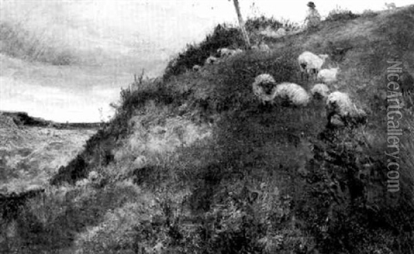 Sheep On Hillside Oil Painting - Charles James Lewis