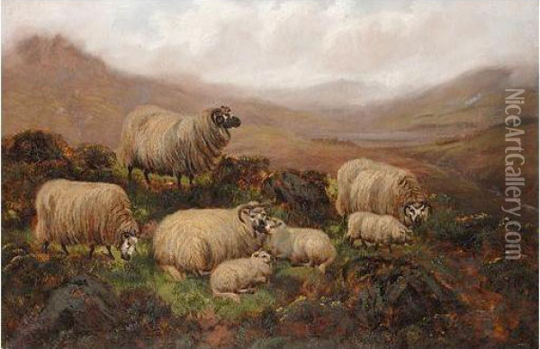 Sheep In The Highlands Oil Painting - John Fox